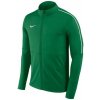 Nike Dry Park 18 Junior AA2071 302 football jersey