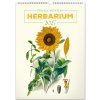 NOTIQUE Nástenný Vintage plagáty herbár 33 x 46 cm 2027