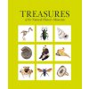 Treasures of the Natural History Museum: Pocket Edition (Paterson Vicky)