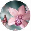 Jedlý papier orchidea a motýľ 19,5 cm - Pictu Hap