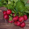 Reďkovka Topsi - Raphanus sativus - semená reďkovky - 100 ks