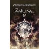 Zaklínač IV. : Čas opovržení - Andrzej Sapkowski