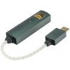 iFi Go link MAX