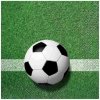 Servítky s motívom futbalovej lopty – balenie 20 ks