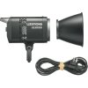 Godox Litemons LE300 Bi-color LED Light (black)