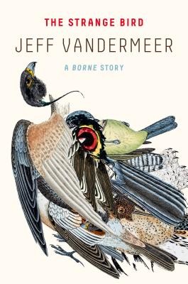 STRANGE BIRD VANDERMEER JEFFPaperback