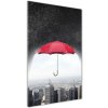 Vertikálny foto obraz sklo tvrdené Dáždnik nad mestom 50x100 cm