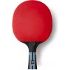 Pálka na stolný tenis Butterfly TIMO BOLL PROGRESS