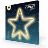 Forever Light Neónové LED Vianočné PENTASTAR teplé biele FLNE22