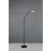 TRIO Reality R44561132 MORENO stojacia lampa v1600mm SMD LED 3W/300lm 2700+4000+6000K čierna matná