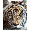 zuty Zuty - Maľovanie Podľa Čísel - Tiger, Údolie A Vodopád (D. Rusty Rust), 80X100 Cm, Plátno (8596530188780)