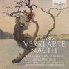 TOWARDS VERKLARTE NACHT: Bach Brahms Zemlinsky Schoenberg Berg (CD) (BRILLIANT CLASSICS)