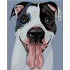 Zuty Čiernobiely hafan 80 x 100 cm vypnuté plátno na rám 8596530012436
