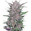 Fast Buds Cannabis Seeds Gorilla Punch Auto 5 ks