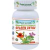 Spleen Detox - zdravie sleziny, detox