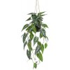 Umelá Alocasia v závesnom kvetináči, 80cm