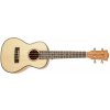 Cascha HH 2151 Concert Mahogany Ukulele Set (Koncertné akustické ukulele)