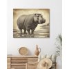 ZUTY Obrazy na stenu - Hroch Rámovanie: vypnuté plátno na rám, Rozmer: 40x50 cm