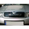 Zimná clona ŠKODA FABIA I 2000 2007