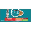 PURINA ONE STERILCAT hovädzie v šťave 40 x 85 g