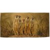 Sablio Uterák Surikaty - 50x100 cm