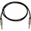 Bespeco XCS100