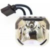 Lampa pre projektor Sharp XG-NV51 (RLMPF0057CEZZ) varianta: Kompatibilná lampa vrátane modulu