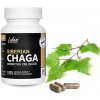 Sibírska čaga 50 kapsúl - huba chaga