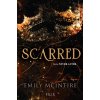 Scarred. Seria Never After. Hype. Tom 2
