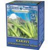 Everest Ayurveda Karavi Alergia 100 g