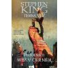 Temná věž 10 - Pistolník 5: Muž v černém - Stephen King & David & Furth & Lee & Isanove