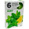 Admit Tea Lights Mint 6 ks