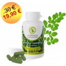 Moringa Carribean Standard 60 kapsúl