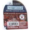 Yankee Candle Autumn Daydream vonný vosk do aromalampy 22 g