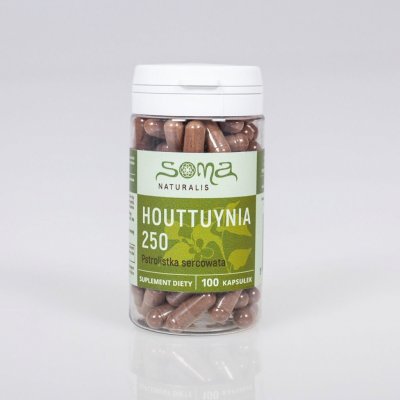 Houttuynia cordata kapsule 250 mg x 100 kapsúl