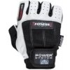Power System FITNESS PS-2300