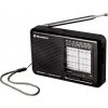 Roadstar TRA-2989 Přenosné vícepásmové r