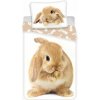 Detské obliečky Jerry Fabrics posteľné obliečky - Bunny 