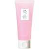 Beauty of Joseon - Red Bean Water Gel 100ml ľahký hydratačný gélový krém pre mastnú a zmiešanú pleť