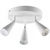 Livarno® Stropné LED svietidlo (stropné bodové svietidlo, biela) (100397843)