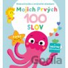 Mojich prvých 100 slov - Farby - YoYo Books