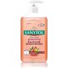 Sanytol dezinfekčné mydlo do kuchyne grapefruit & svieži citrón 250 ml