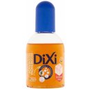 Dixi voda Regener 125 ml