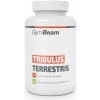 GYM BEAM GYMBEAM Tribulus Terrestris 240 tbl