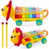 Vzdelávacia hračka xylofón lev RK-740 Ricokids