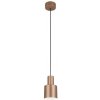 TRIO 319400165 AGUDO závesné svietidlo D120mm 1xE27 kávová