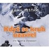 Když se kruh uzavřel - Kamil Pešťák