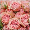 TaT servítky Lots of Roses 33x33cm