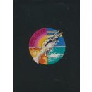Hudba Pink Floyd Wish You Were Here (VINYL Limited Edition)