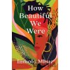 How Beautiful We Were - Imbolo Mbue